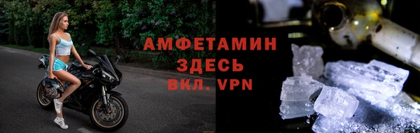 прущие грибы Бронницы
