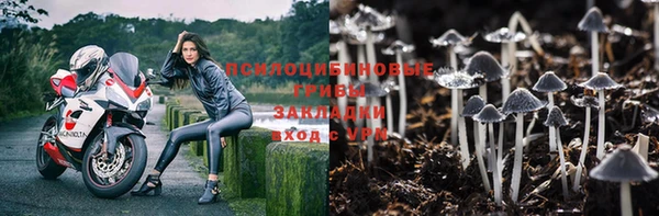 МДПВ Аркадак